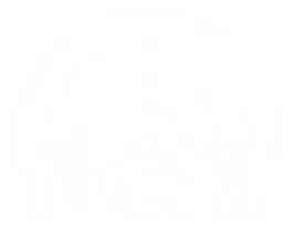 Today